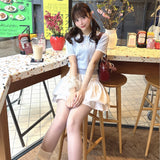 ダブルカラーポロニット